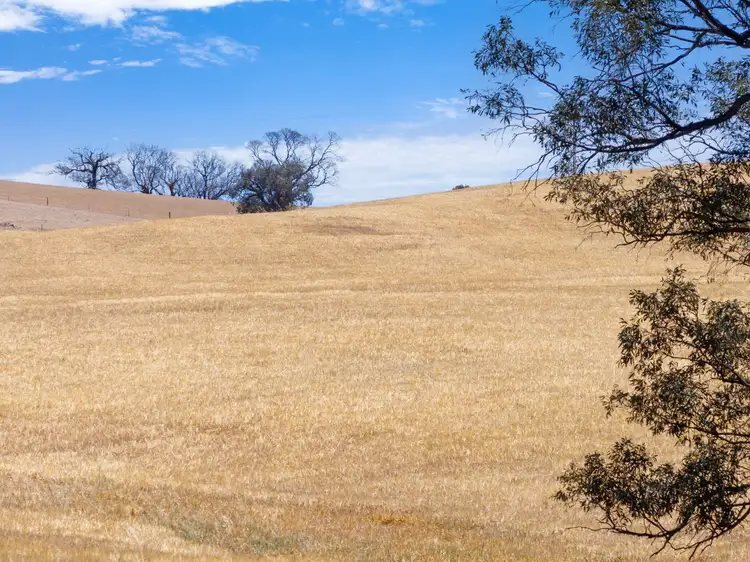 Second view of Homely rural property listing, Lot 90 Tarlee Road, Kapunda SA 5373