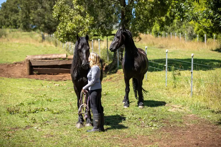 Fifth view of Homely rural property listing, 8595 Waterfall Way, Ebor NSW 2453
