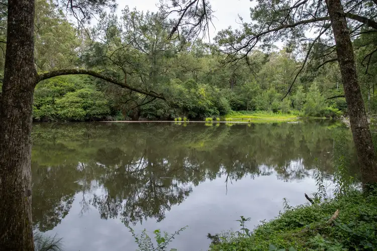 Second view of Homely rural property listing, 145 Moonpar Road, Bostobrick NSW 2453