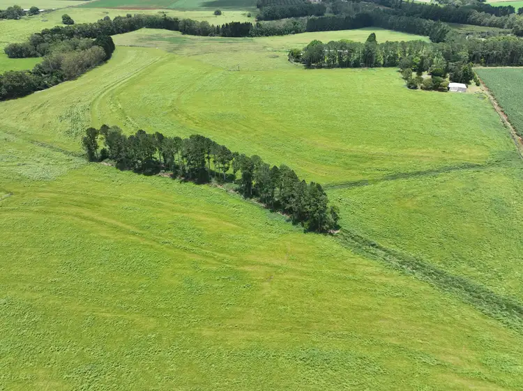 Sixth view of Homely rural property listing, Address available on request