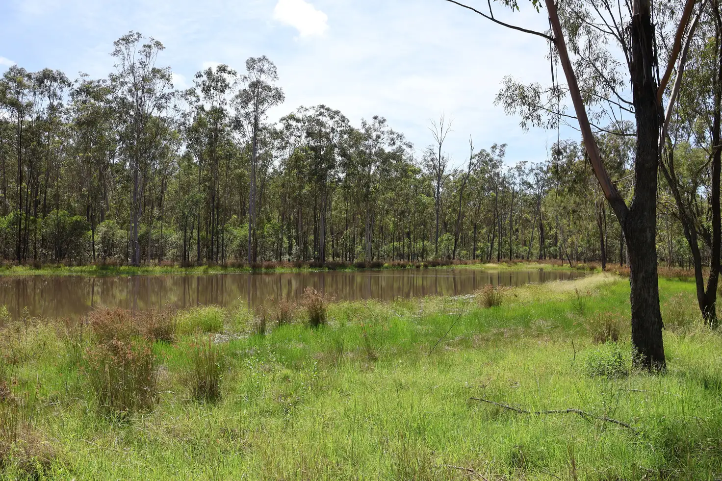 Main view of Homely rural property listing, Lot 17 Greentree Road, Beeron, Mundubbera QLD 4626