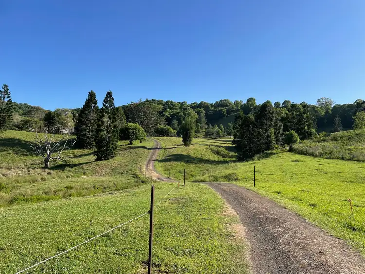 Fourth view of Homely rural property listing, 98 Tuntable Creek Road, The Channon NSW 2480