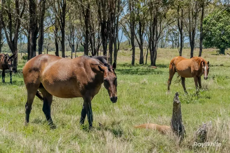 Seventh view of Homely land listing, LOT 13, 1323 Elliott Heads Road, Elliott Heads QLD 4670