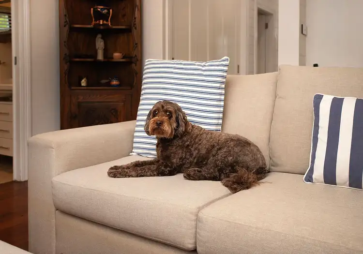 Fifth view of Homely house listing, 6 Devonshire Street, Kiama NSW 2533