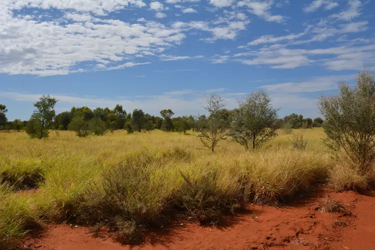 Second view of Homely rural property listing, 183 Albert Park Road, Charleville QLD 4470