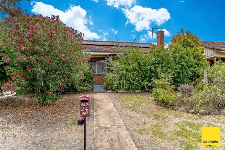 Main view of Homely house listing, 24 Churchill Avenue, Flora Hill VIC 3550