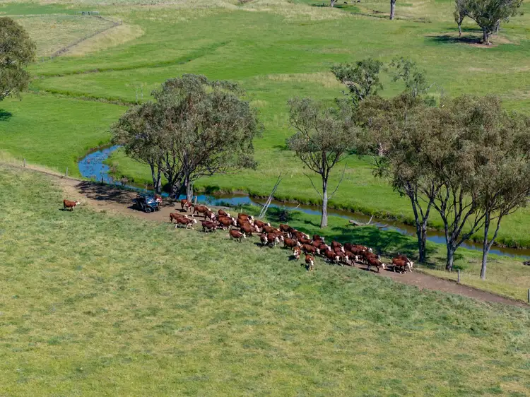 Fifth view of Homely rural property listing, 865 Upper Spring Creek Road, Spring Creek QLD 4361