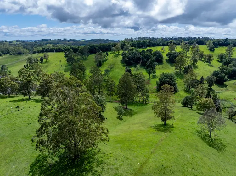 Fifth view of Homely rural property listing, 50 Bellthorpe West Road, Bellthorpe QLD 4514