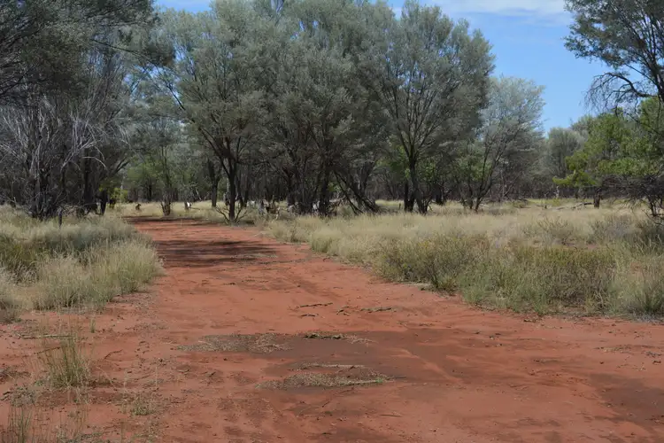 Seventh view of Homely rural property listing, 57 Diamantina Developmental Road, Charleville QLD 4470