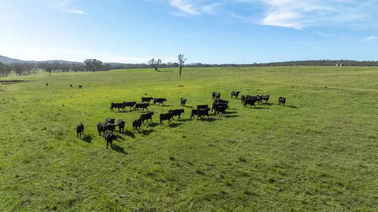 Third view of Homely rural property listing, 610 Gwydir Park Road, Torryburn NSW 2358