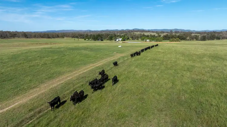 Sixth view of Homely rural property listing, 610 Gwydir Park Road, Torryburn NSW 2358