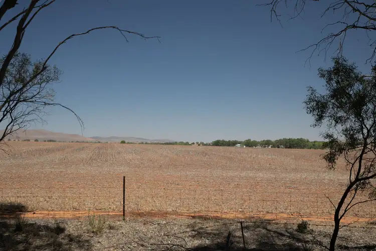 Main view of Homely rural property listing, 'Grahams' Graham Road, Caltowie SA 5490