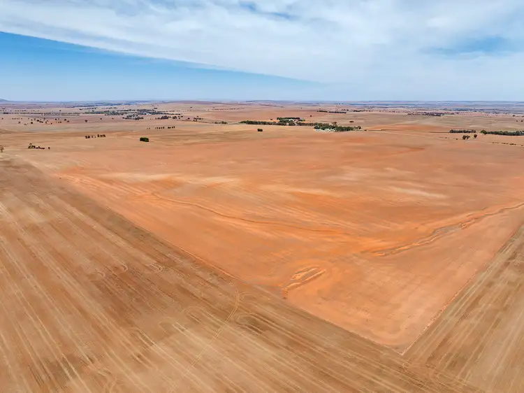 Second view of Homely rural property listing, 'Grahams' Graham Road, Caltowie SA 5490