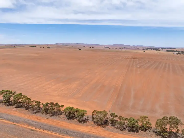 Sixth view of Homely rural property listing, 'Grahams' Graham Road, Caltowie SA 5490