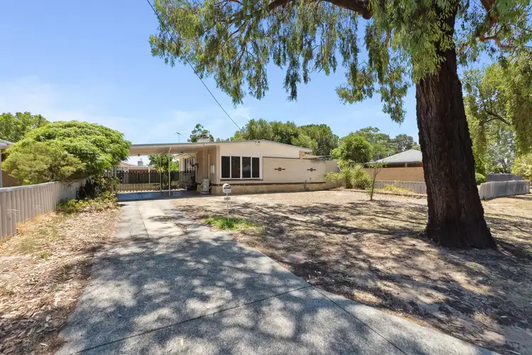 Fifth view of Homely house listing, 41 Dickson Drive, Middle Swan WA 6056