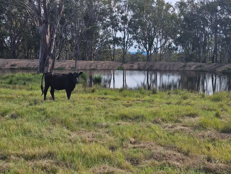 Third view of Homely rural property listing, 2087 Rabbit Fence Road, Palgrave QLD 4374