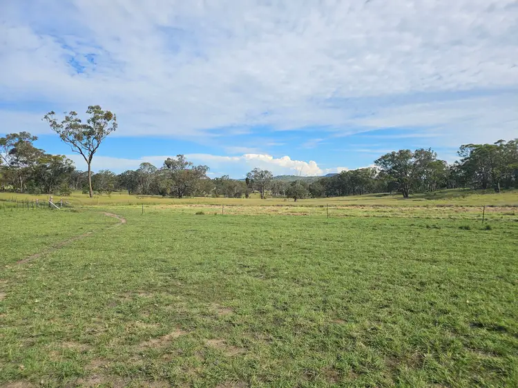 Fifth view of Homely rural property listing, 2087 Rabbit Fence Road, Palgrave QLD 4374