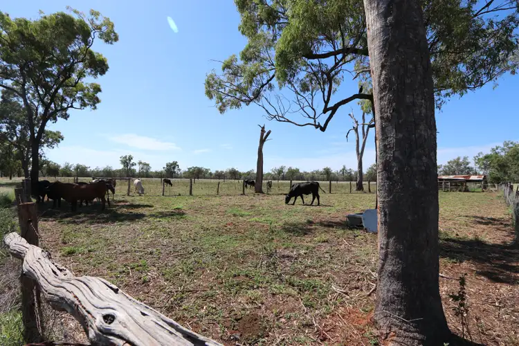 Fourth view of Homely rural property listing, 69 Elizabeth Street, Duaringa QLD 4712