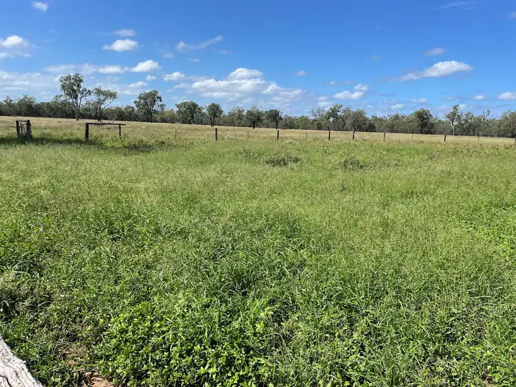 Fifth view of Homely rural property listing, 69 Elizabeth Street, Duaringa QLD 4712