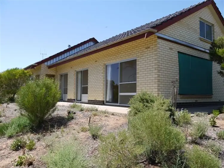 Main view of Homely house listing, 99 JC Smith Rd, Berri SA