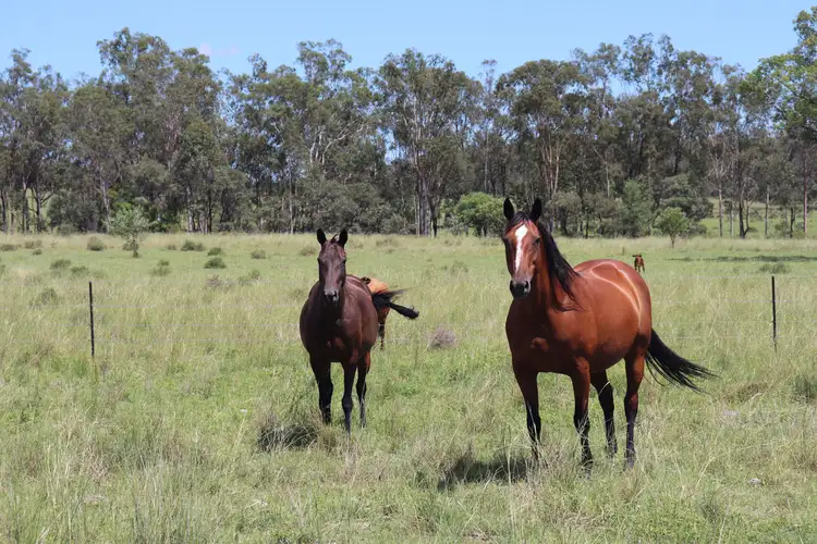 Second view of Homely rural property listing, Lot 18 & 19/110 Greentree Lane, Beeron, Mundubbera QLD 4626
