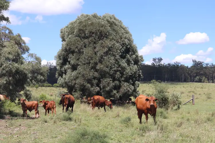 Third view of Homely rural property listing, Lot 18 & 19/110 Greentree Lane, Beeron, Mundubbera QLD 4626