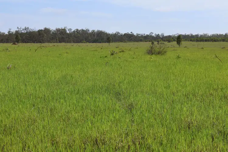 Sixth view of Homely rural property listing, Lot 18 & 19/110 Greentree Lane, Beeron, Mundubbera QLD 4626