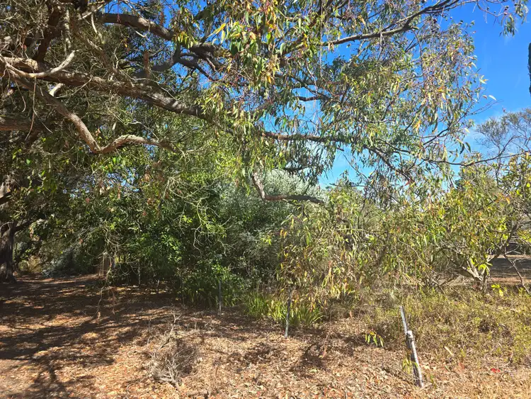 Fifth view of Homely land listing, LOT Lot 244, 15 Deane Street, Mount Barker WA 6324