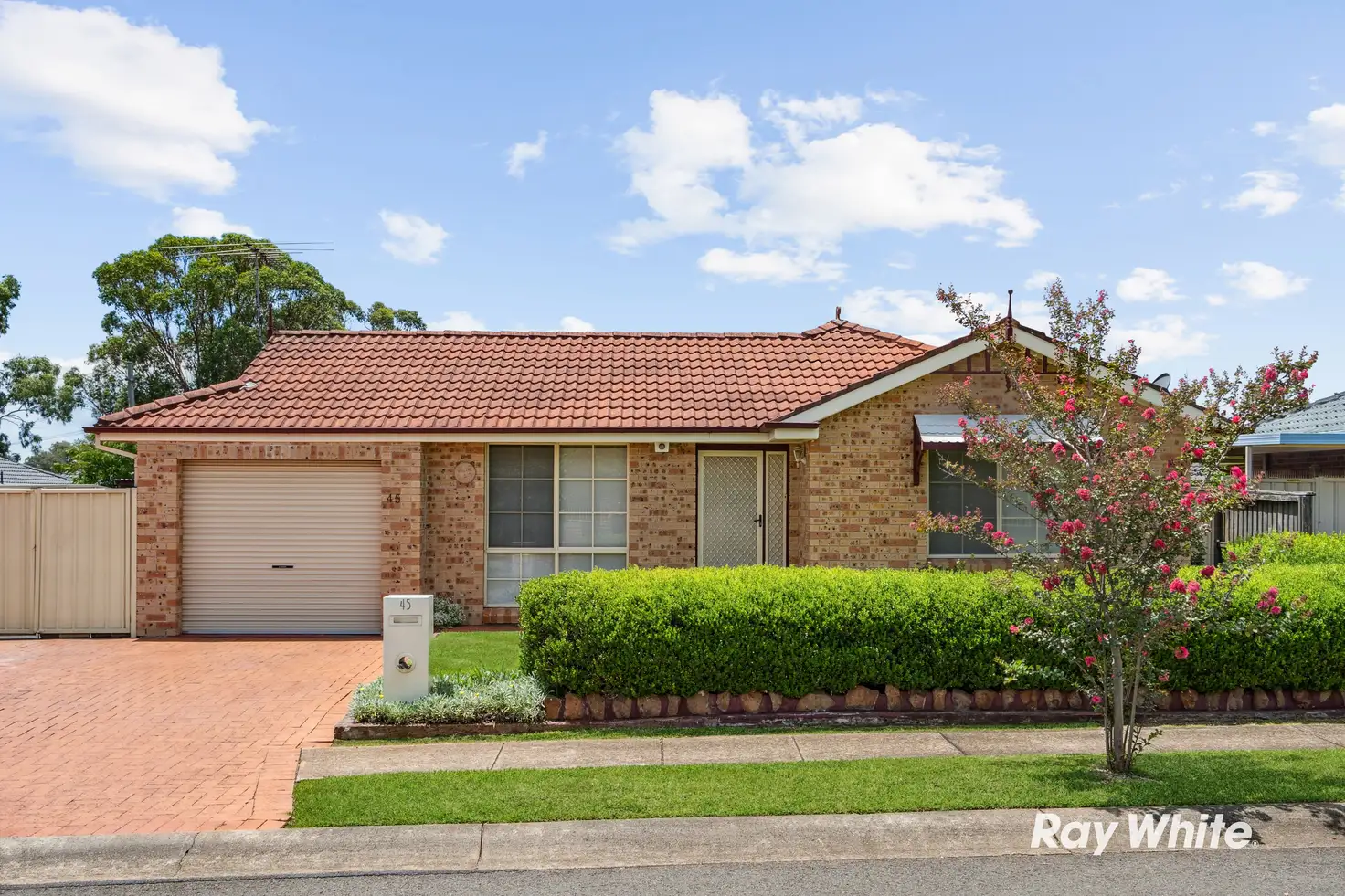 Main view of Homely house listing, 45 Rathmore Circuit, Glendenning NSW 2761