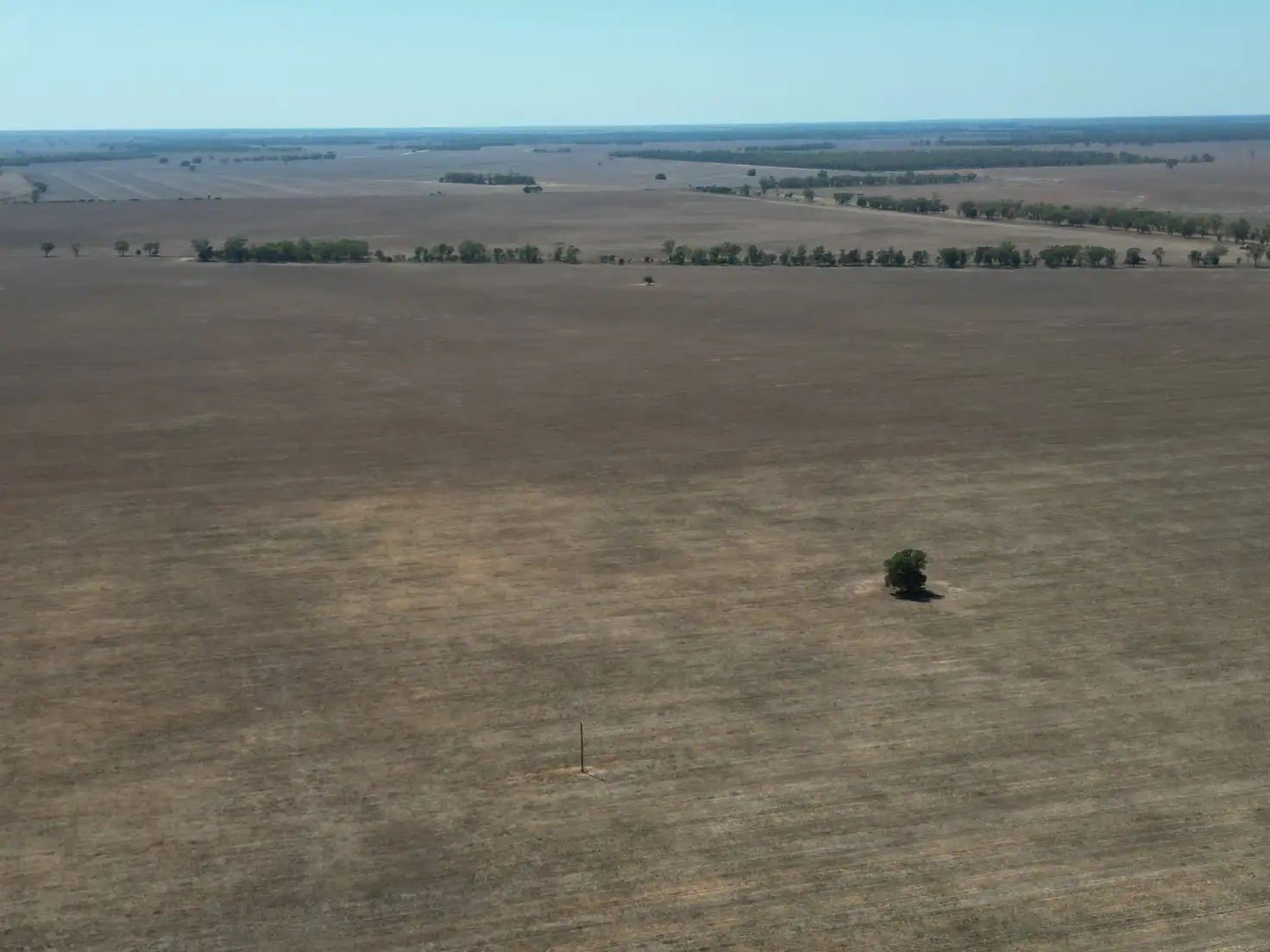Main view of Homely rural property listing, "Part Wayholme" 3331 Gingham Road, Moree NSW 2400