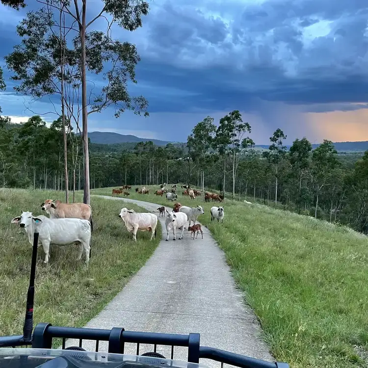 Seventh view of Homely rural property listing, Address On Request, Ottaba QLD 4313