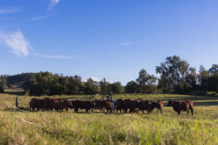 Second view of Homely land listing, Cnr Kenilworth Skyring Creek Road & Tuchekoi Road, Tuchekoi QLD 4570