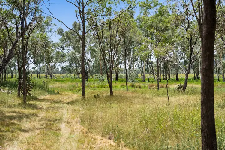 Second view of Homely rural property listing, "Keheler Park" Lot89 Springate Lane, Pratten QLD 4370
