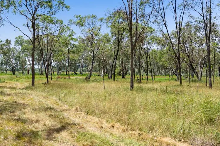 Fourth view of Homely rural property listing, "Keheler Park" Lot89 Springate Lane, Pratten QLD 4370