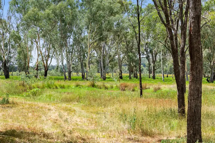 Sixth view of Homely rural property listing, "Keheler Park" Lot89 Springate Lane, Pratten QLD 4370