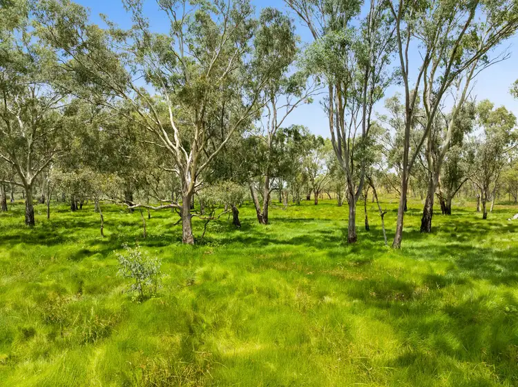 Seventh view of Homely rural property listing, "Keheler Park" Lot89 Springate Lane, Pratten QLD 4370