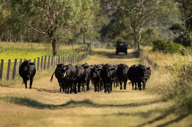 "Hi-View" 299 Hudson Road, Felton QLD 4358