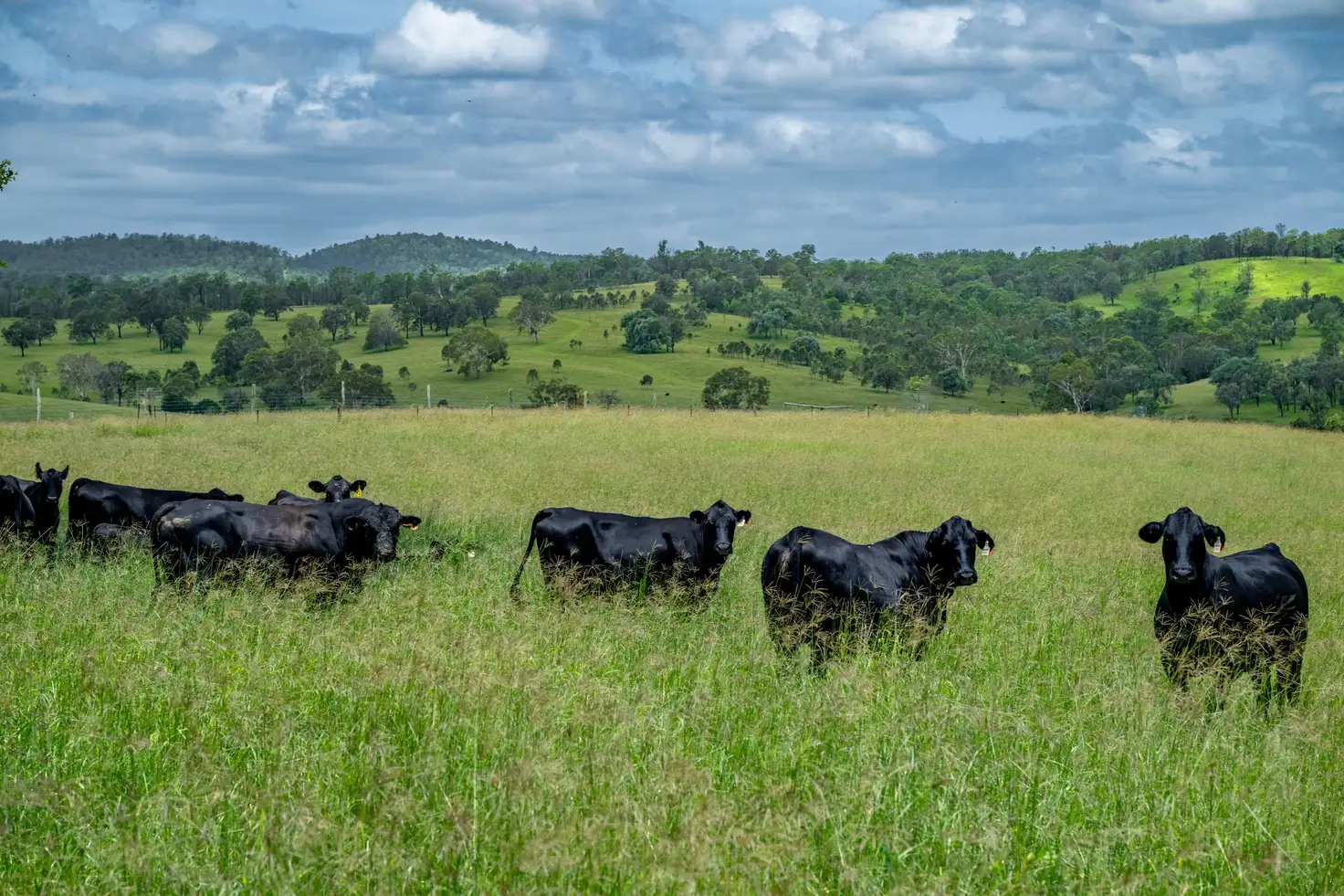 Main view of Homely rural property listing, 3128 Manumbar Road, Elgin Vale QLD 4615