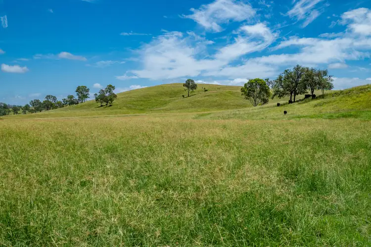 Fourth view of Homely rural property listing, 3128 Manumbar Road, Elgin Vale QLD 4615