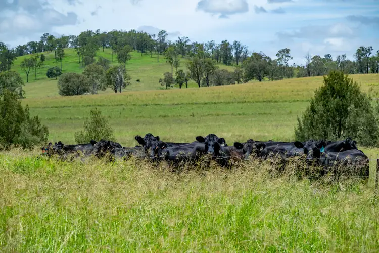 Sixth view of Homely rural property listing, 3128 Manumbar Road, Elgin Vale QLD 4615