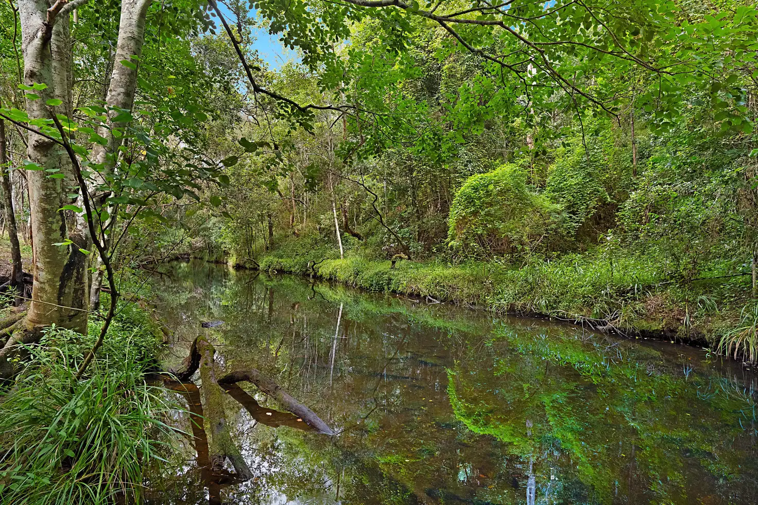Main view of Homely land listing, 28 Bunya Street, Mount Crosby QLD 4306