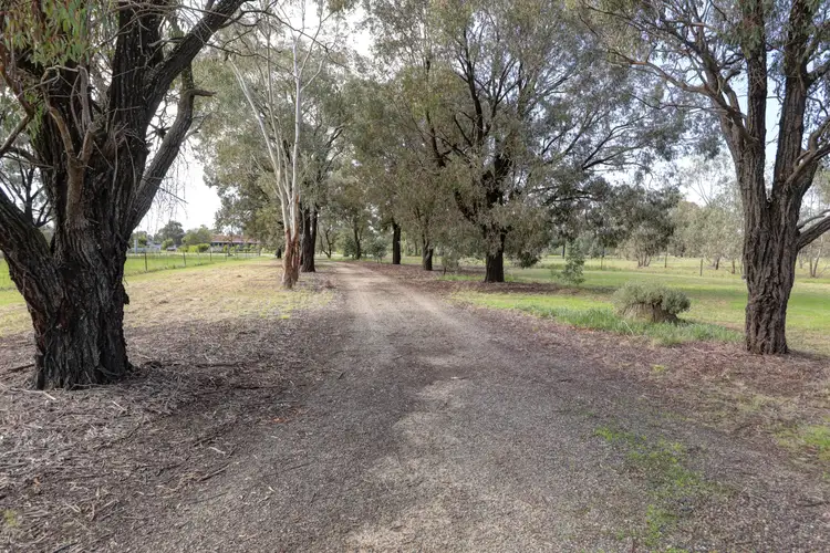 Third view of Homely house listing, 20 Ferris Street, Bearii VIC 3641