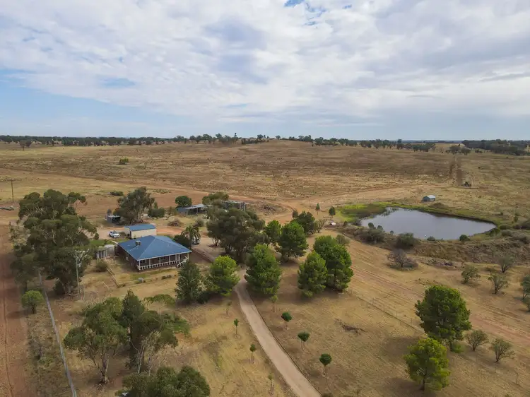 1127 Newell Highway, Forbes NSW 2871