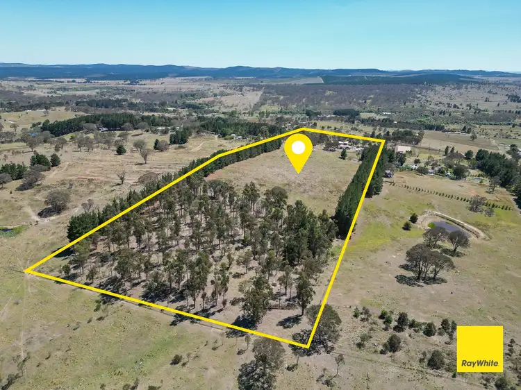 Third view of Homely rural property listing, 91 Radcliffe Circuit, Carwoola NSW 2620
