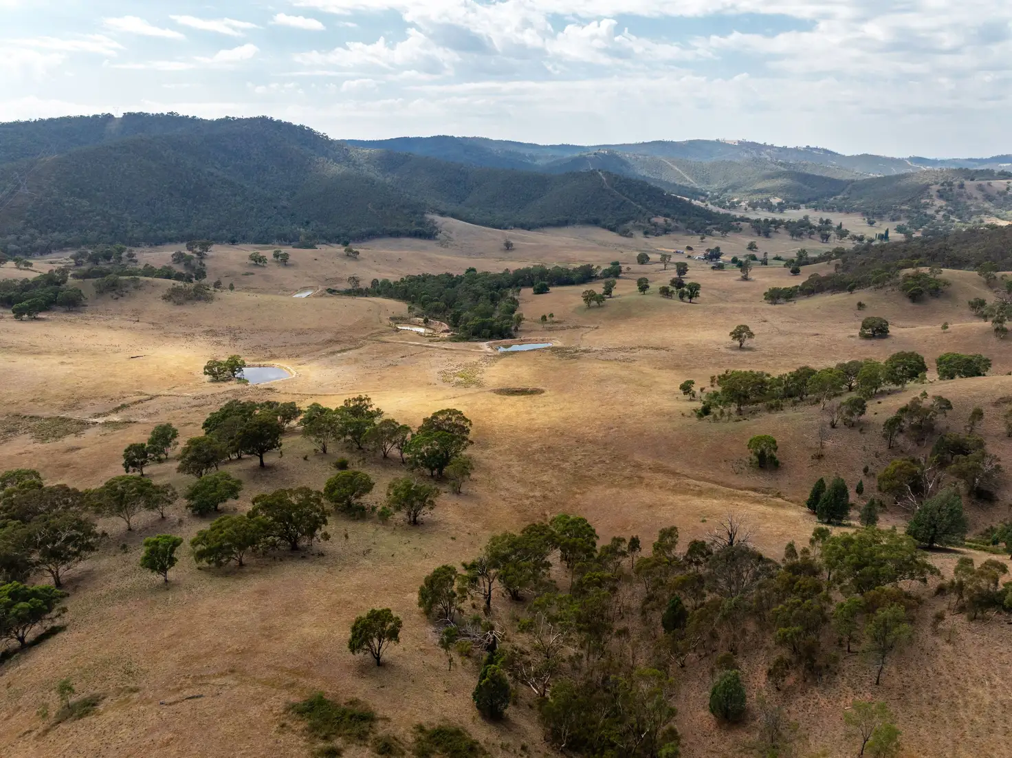 Main view of Homely rural property listing, 197 Stewarts Road, Oberne Creek NSW 2650