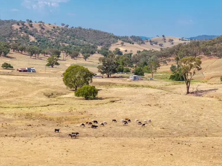 Second view of Homely rural property listing, 197 Stewarts Road, Oberne Creek NSW 2650