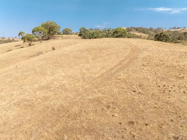 Fourth view of Homely rural property listing, 197 Stewarts Road, Oberne Creek NSW 2650