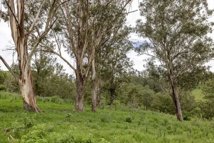 Fourth view of Homely rural property listing, 141 Khatambuhl Creek Road, Mount George NSW 2424