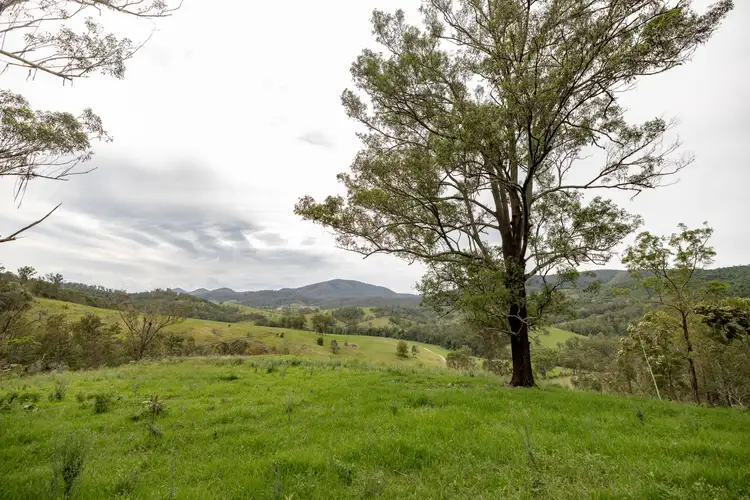 Fifth view of Homely rural property listing, 141 Khatambuhl Creek Road, Mount George NSW 2424