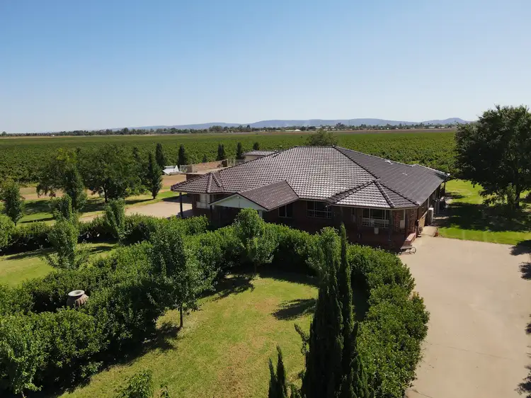 Fifth view of Homely rural property listing, Farm 504 Farley Road, Bilbul NSW 2680